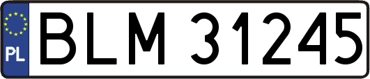 BLM31245