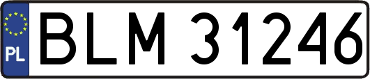 BLM31246