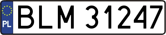 BLM31247