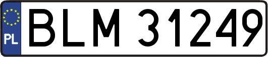 BLM31249