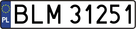 BLM31251