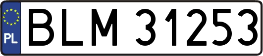 BLM31253