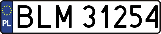 BLM31254
