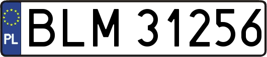 BLM31256