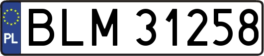 BLM31258