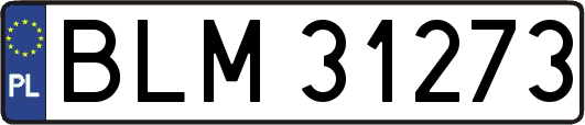 BLM31273