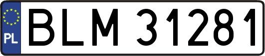 BLM31281