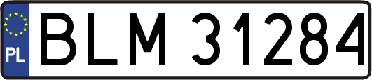 BLM31284