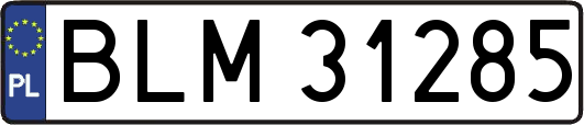 BLM31285