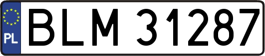 BLM31287