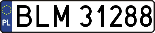 BLM31288