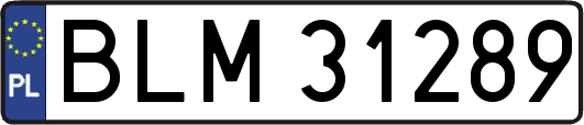 BLM31289
