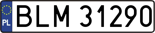 BLM31290