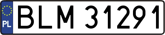 BLM31291