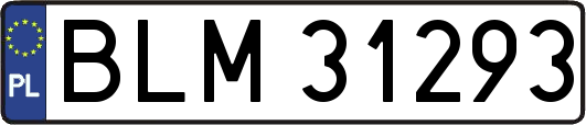 BLM31293