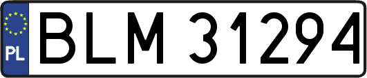 BLM31294
