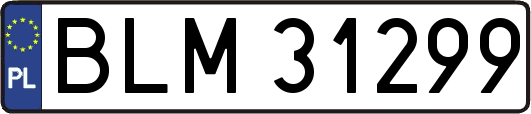 BLM31299