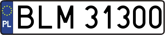 BLM31300