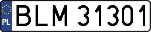 BLM31301