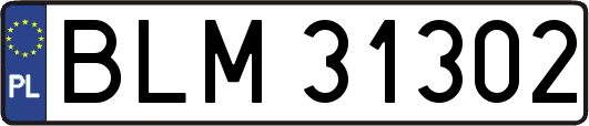 BLM31302