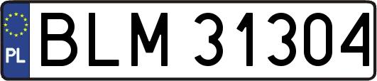 BLM31304