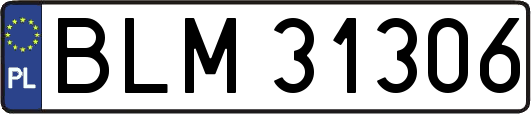 BLM31306