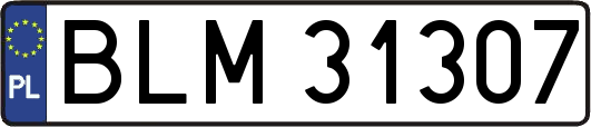 BLM31307
