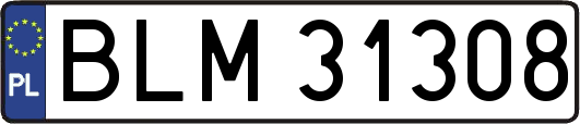 BLM31308
