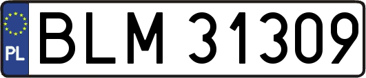 BLM31309
