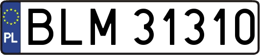 BLM31310