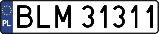 BLM31311