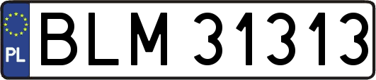 BLM31313