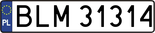 BLM31314