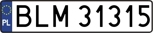 BLM31315
