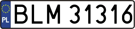 BLM31316