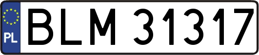 BLM31317