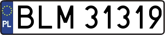 BLM31319