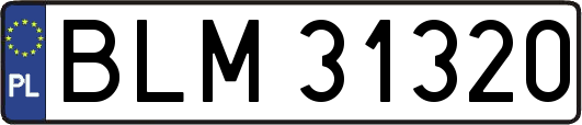 BLM31320