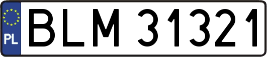 BLM31321