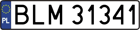 BLM31341