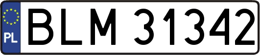 BLM31342