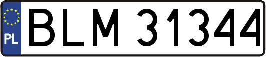 BLM31344