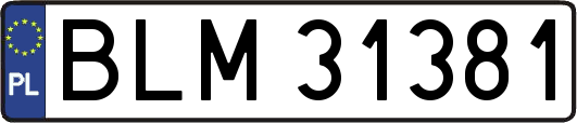 BLM31381