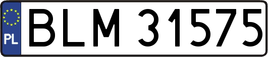 BLM31575