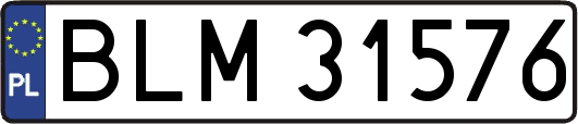 BLM31576