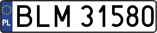 BLM31580