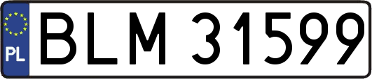 BLM31599