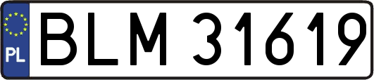 BLM31619