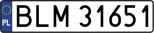 BLM31651