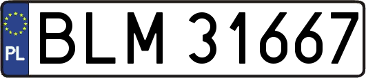 BLM31667